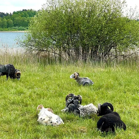 Apartament Am Yachthafen Mueritz